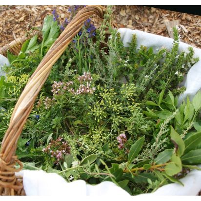 Herbes aromatiques pour la cuisine – Abbaye de Rosans de Epicerie fine