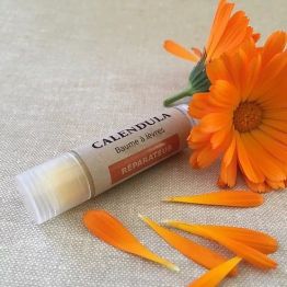Baume à lèvres Flori'sain au Calendula - Stick - Protecteur et Réparateur 