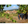 carton de 6 bouteilles de vin LOUANGE, coteaux d'Aix en Provence 2019 vin rouge de Vins & Spiritueux